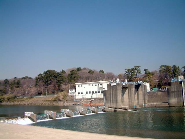 �ێq���t��