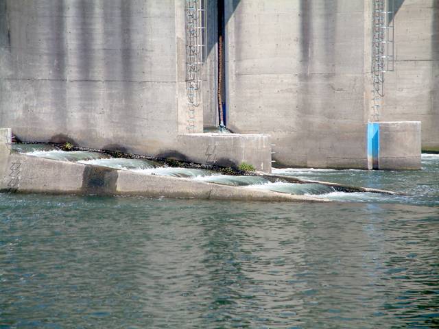 �ێq���̋���