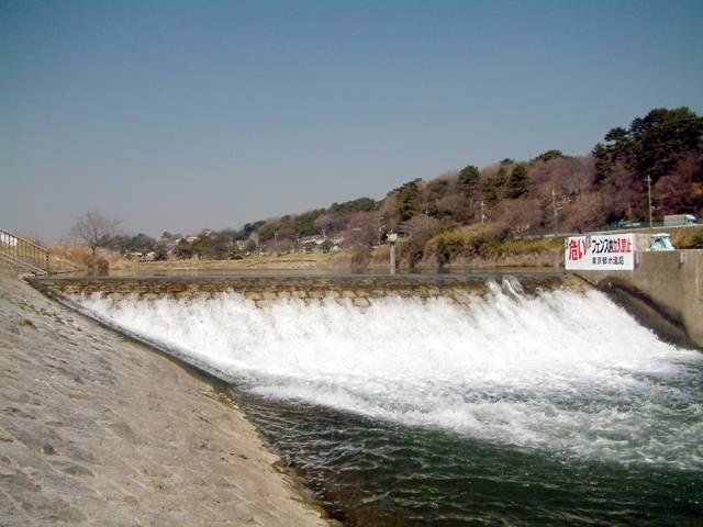 �ێq������