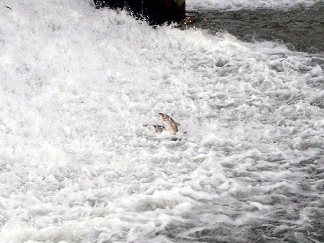 �}���^�E�O�C�̑k��