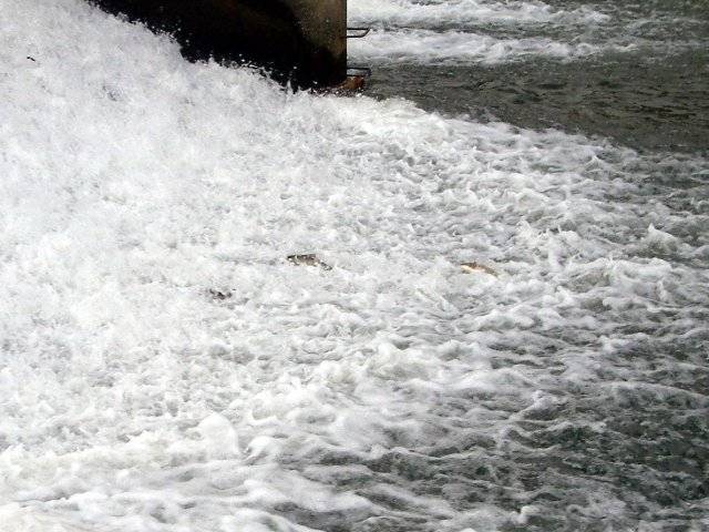 �}���^�E�O�C�̑k��