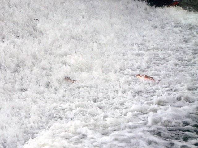 �}���^�E�O�C�̑k��