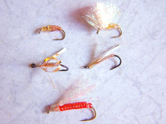 �}���^�E�O�C