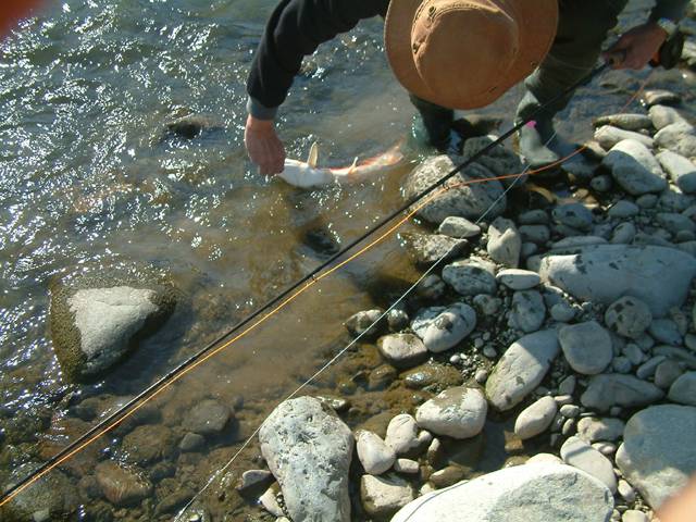 �}���^�E�O�C