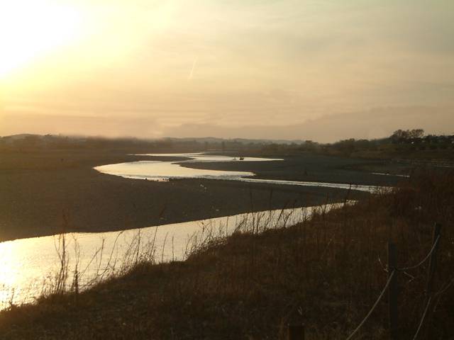 �}���^�E�O�C