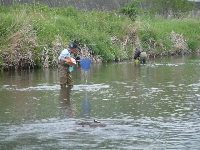 �}���^�E�O�C