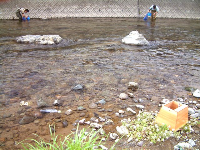 �}���^�E�O�C