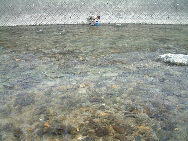 �͌����琟�ݐ؂��