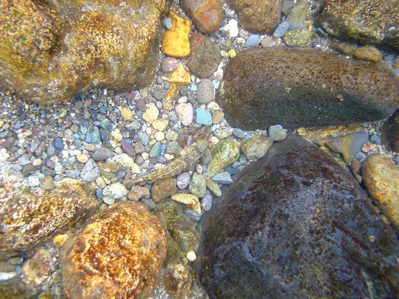 �͌����琟�ݐ؂��