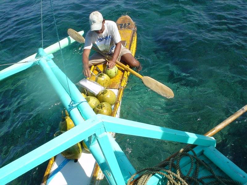 �R�R�i�c�W���[�X�̔z�B