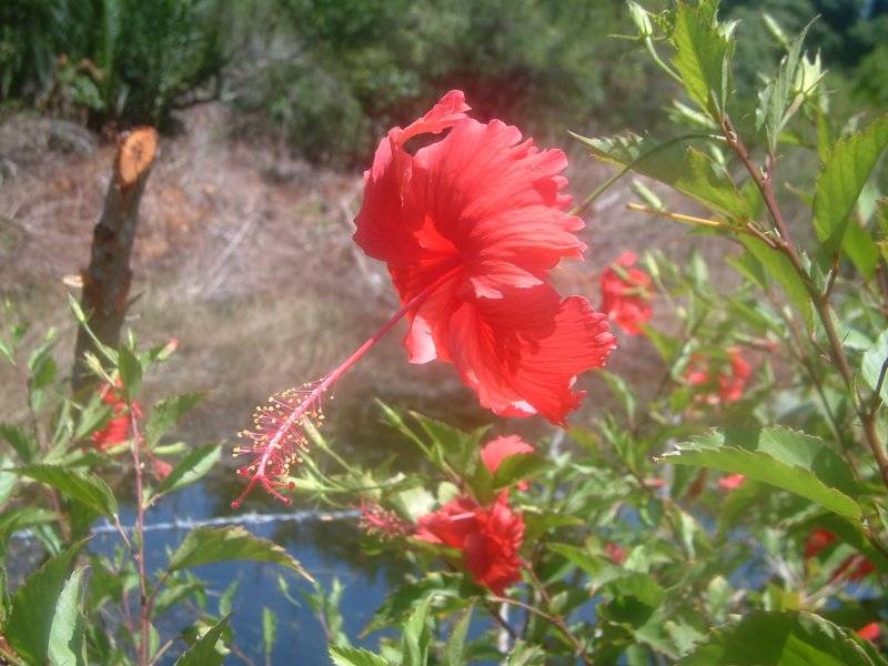 �n�C�r�X�J�X