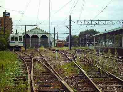 �G���̐��������H�ƃv���b�g�z�[��