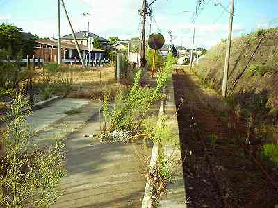 ���������Ȃ����z�[��