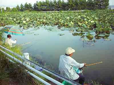 ����쒬�ŗB��c���Ă���r