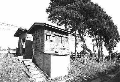 �����Ă̔�w