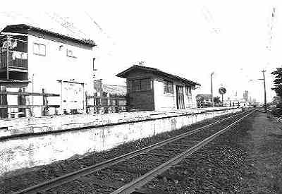 �����Ă̕����w