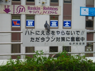 ���ˎs�����c�c�B