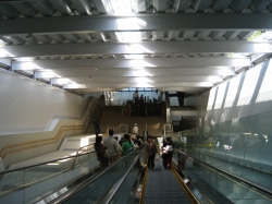 �G�X�J���[�^�[�������������A�U��Ԃ��ē�������B