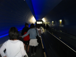 ���������B�I�_�ł����Ȃ��悤�ɁB