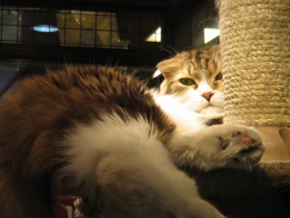 �ɂ܂ꂽ�c(�G�L�D`)