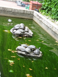 �T�̓{�[���ƒ��߂Ă�Ƙa�ށc�B