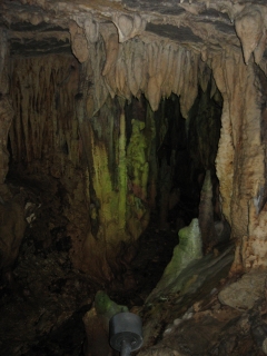 ���A�͒j�̎q�̃n�[�g���������邺