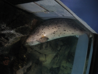 �������ɂ��܂���