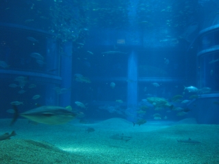 �O���Ȃ��c