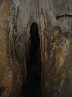 �����Ă邾���Ŋy�����c