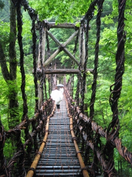 �C���P�V�x�B���ނ��B