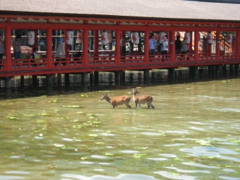 ��L�̉��֕����Ă����܂���