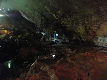 �I�c�݂����B