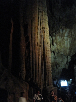 �X�Q�G��Ȃ��c