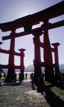 ���̓��A�ɔ��Ă܂���