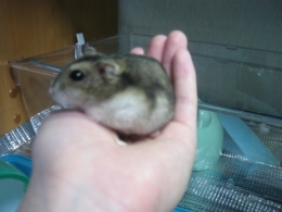 ��̏�̏��t�B