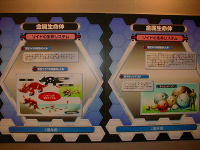 ���b�h�z�[���G���`�B