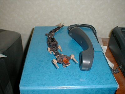 �N�E�K�̌g�т��f�t�H���ł�낤�Ƃ��Ēf�O�B