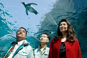 旭山動物園物語　西田敏行　中村靖日　萬田久子