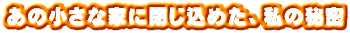 あの小さな家に閉じ込めた、私の秘密 