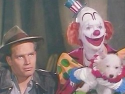 地上最大のショウ