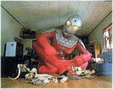 �E���g��3