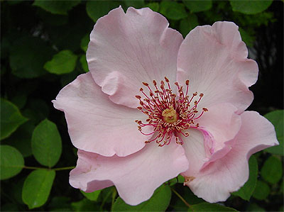 �f���e�B�E�x�X