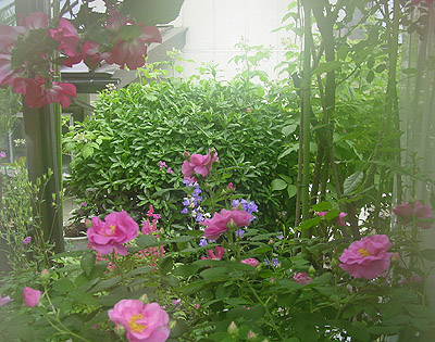 �I�t�B�V�i���X