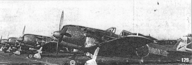 �I���̐V����s��