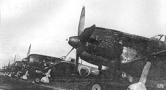 �I���̐V����s��