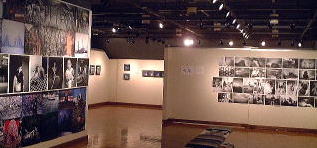 �`�y�t�l�`�g�ʐ^�W�̉�ꕗ�i