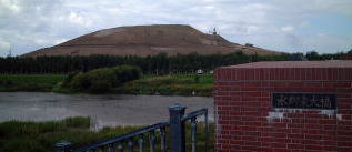 �������̃��G�����𐅋����勴����]��