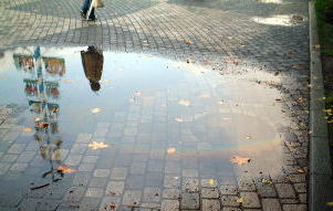 中央区大通西11