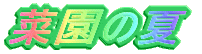 菜園の夏
