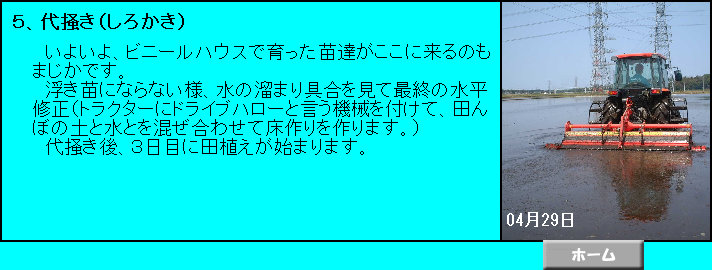 �@���悢��A�r�j�[���n�E�X�ň�����c�B�������ɗ���̂��܂����ł��B 
�@�����c�ɂȂ�Ȃ��l�A���̗��܂������čŏI�̐����C���i�g���N�^�[�Ƀh���C�u�n���[�ƌ����@�B��t���āA�c��ڂ̓y�Ɛ��Ƃ��������킹�ď��������܂��B�j 
�@��~����A�R���ڂɓc�A�����n�܂�܂��B